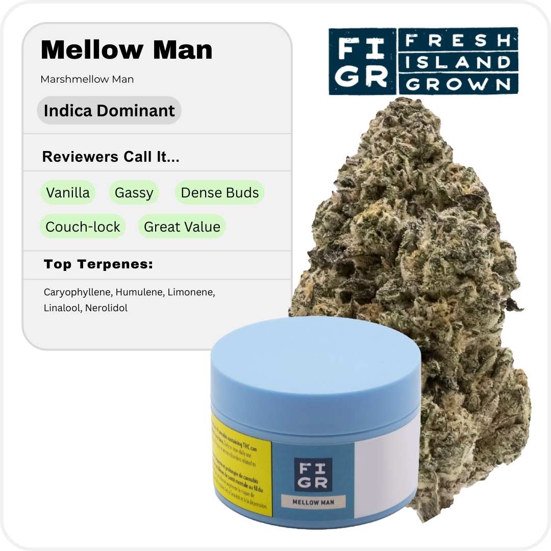 Mellow Man by FIGR Fresh Island Grown cannabis brand graphic highlighting dense buds characteristic on minimalist background