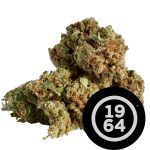 BUDTENDERS RECOMMEND - 4